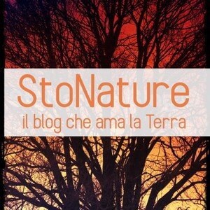 blog contenuti